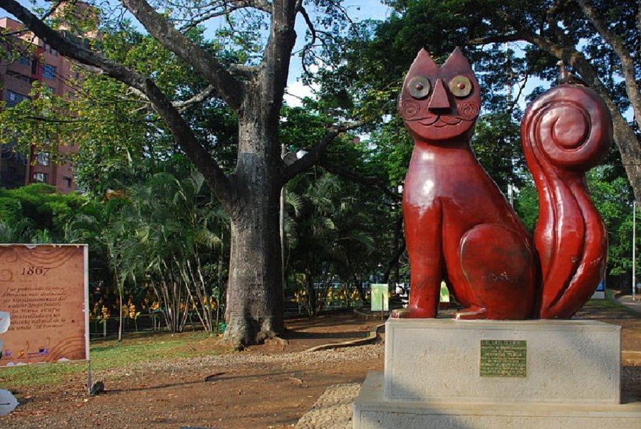 que faire à Cali : visiter Gato de Tejada